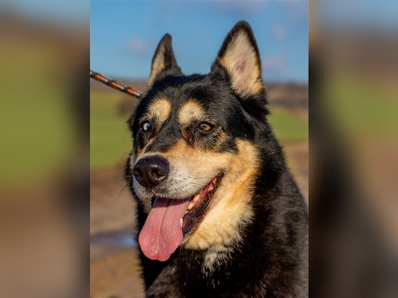 Pötyi sucht viel Bewegung in ihrem neuen Leben