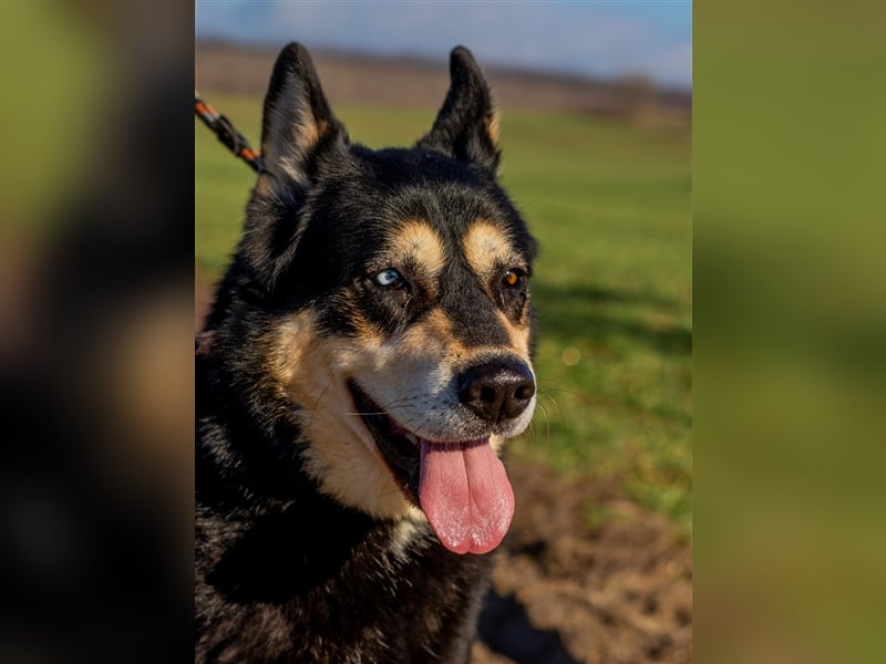 Pötyi sucht viel Bewegung in ihrem neuen Leben