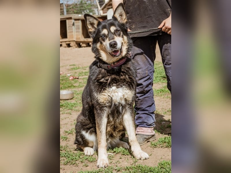 Pötyi sucht viel Bewegung in ihrem neuen Leben