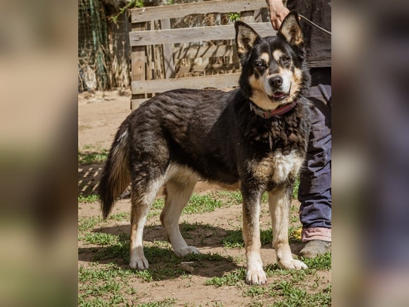 Pötyi sucht viel Bewegung in ihrem neuen Leben