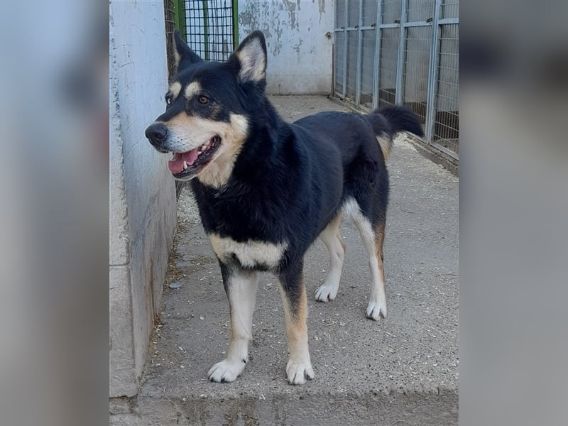 Pötyi sucht viel Bewegung in ihrem neuen Leben