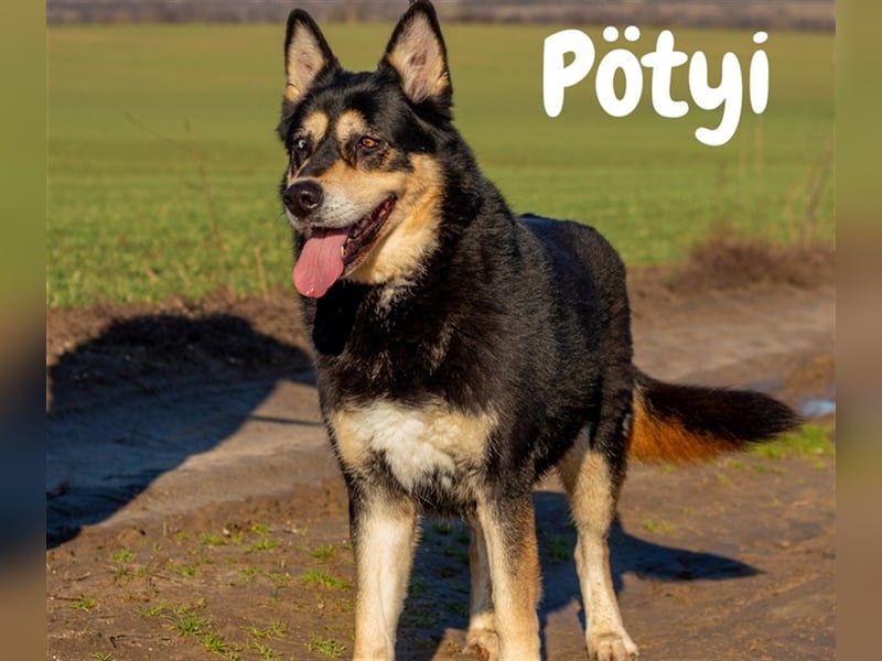 Pötyi sucht viel Bewegung in ihrem neuen Leben