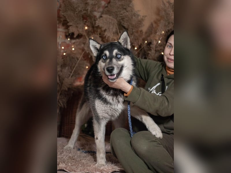 SKY Junghund mit Turbo (Ukraine)