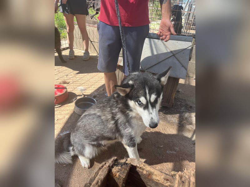 Hanna möchte einfach dazugehören