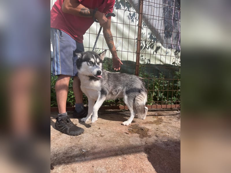 Hanna möchte einfach dazugehören