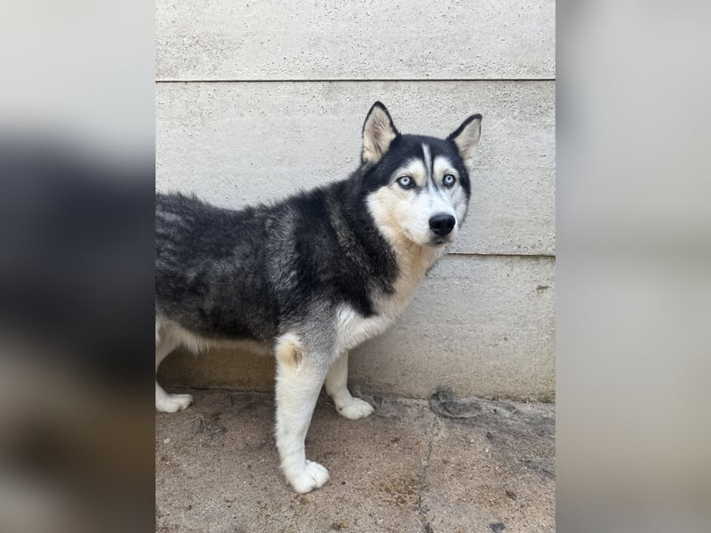 Hajnalka muss Vertrauen lernen