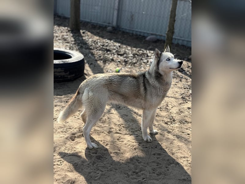 Achtung, verlieben erlaubt: Zelinde!