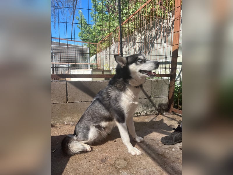 Hanna sucht ein Herz, das sie liebt