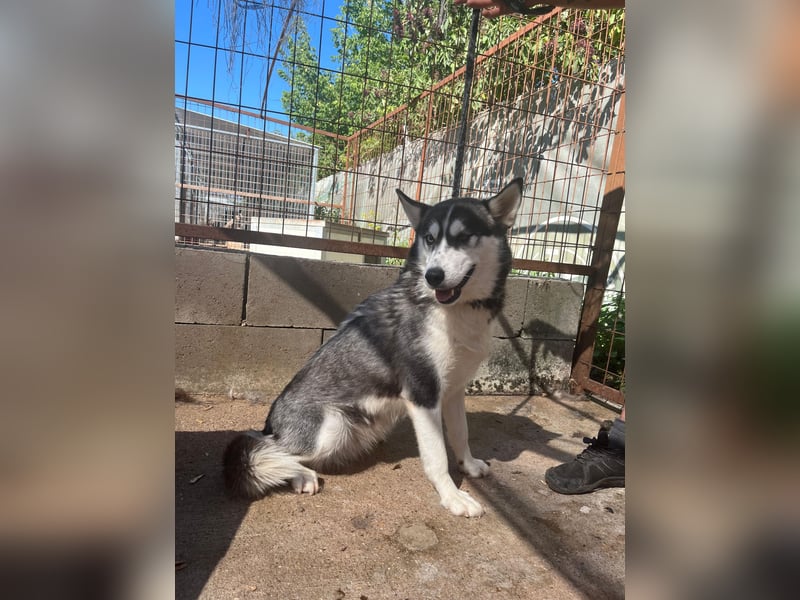 Hanna sucht ein Herz, das sie liebt