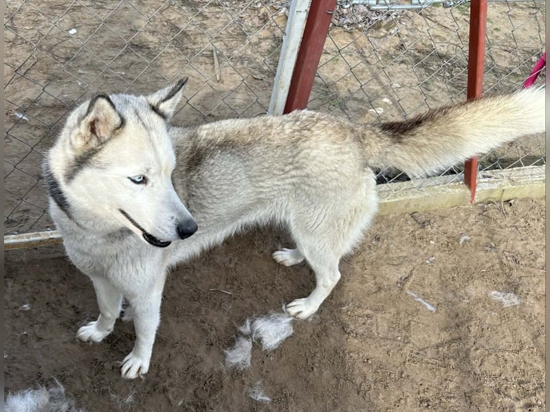 Achtung, verlieben erlaubt: Zelinde!