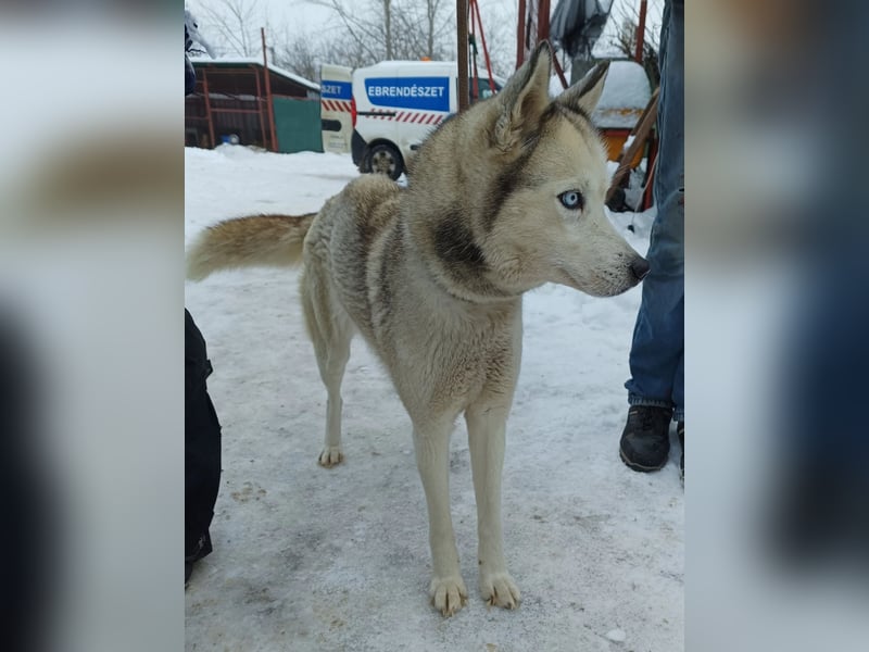 Achtung, verlieben erlaubt: Zelinde!