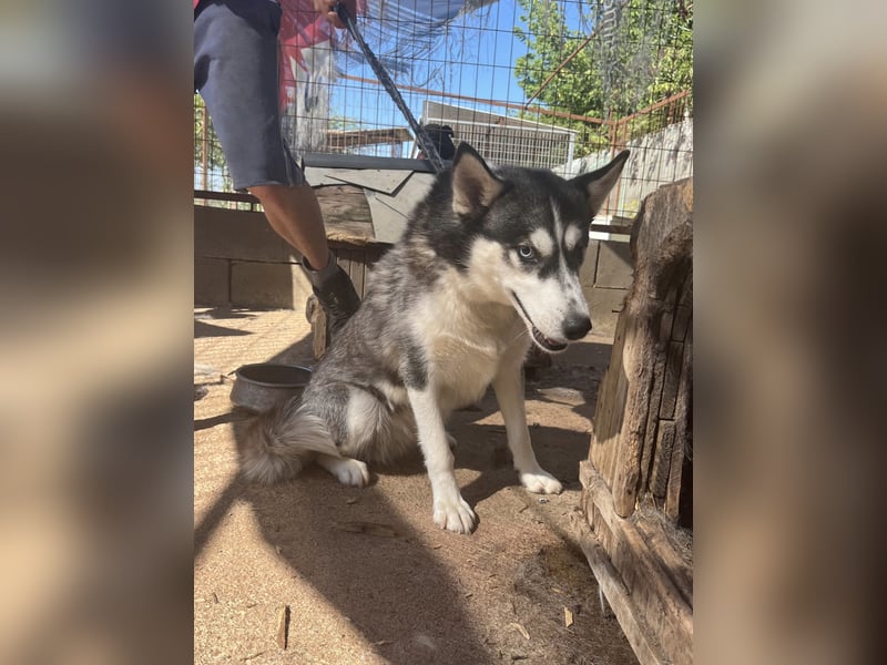 Hanna möchte einfach dazugehören