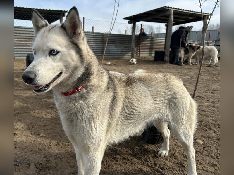 Achtung, verlieben erlaubt: Zelinde!