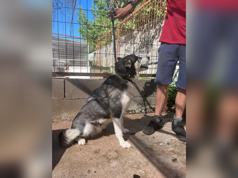Hanna möchte einfach dazugehören