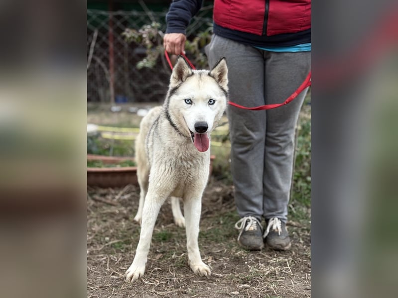Achtung, verlieben erlaubt: Zelinde!