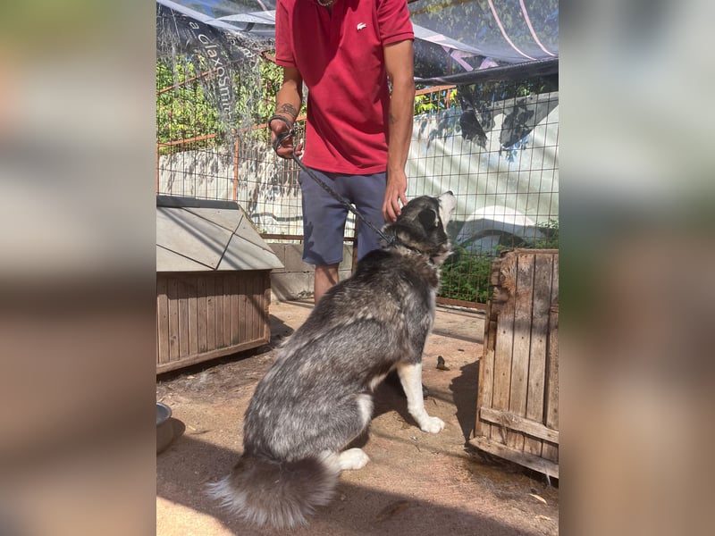 Hanna möchte einfach dazugehören