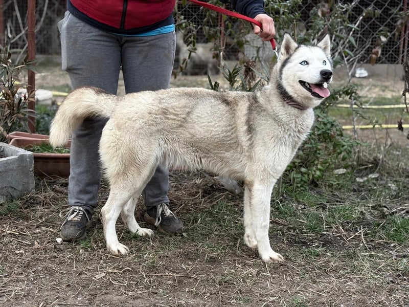 Achtung, verlieben erlaubt: Zelinde!