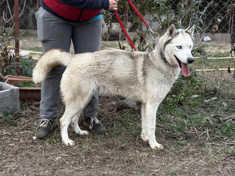 Achtung, verlieben erlaubt: Zelinde!