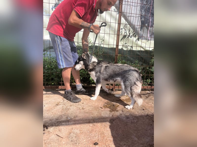 Hanna sucht ein Herz, das sie liebt