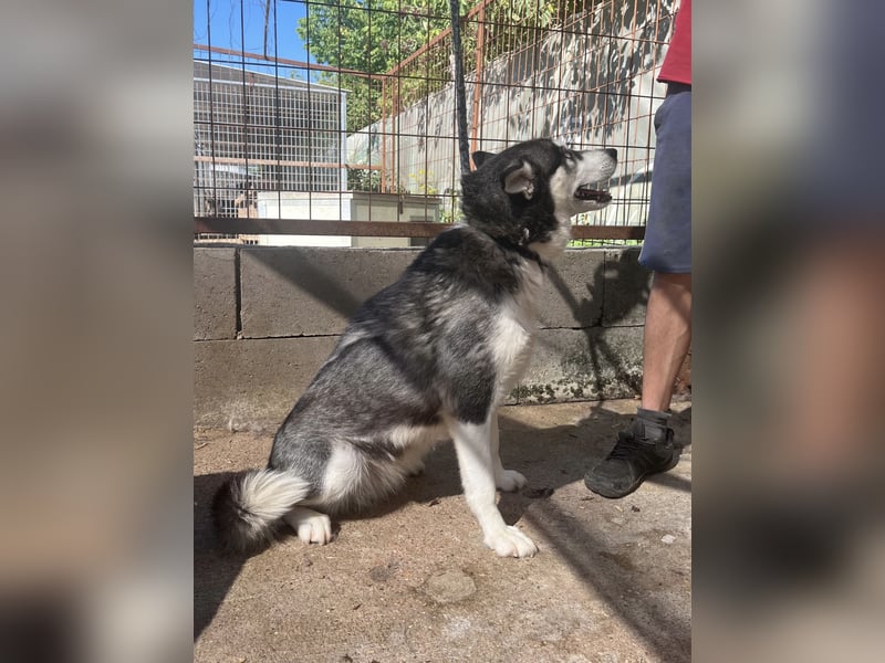 Hanna sucht ein Herz, das sie liebt