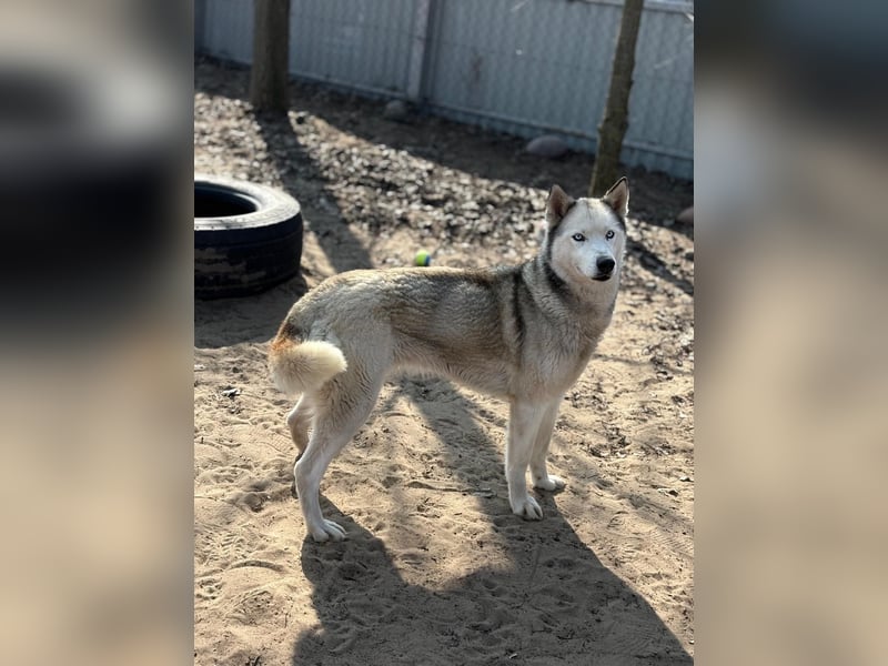 Achtung, verlieben erlaubt: Zelinde!