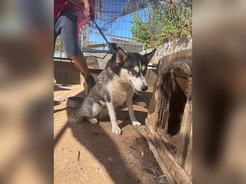 Hanna möchte einfach dazugehören