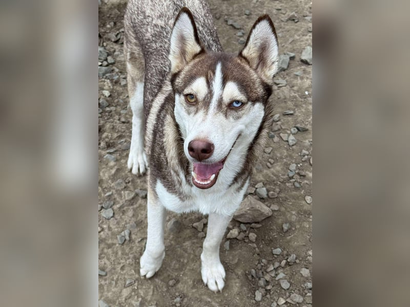 LUNA sucht ihre(n) Menschen...