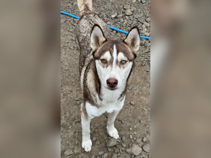 LUNA sucht ihre(n) Menschen...