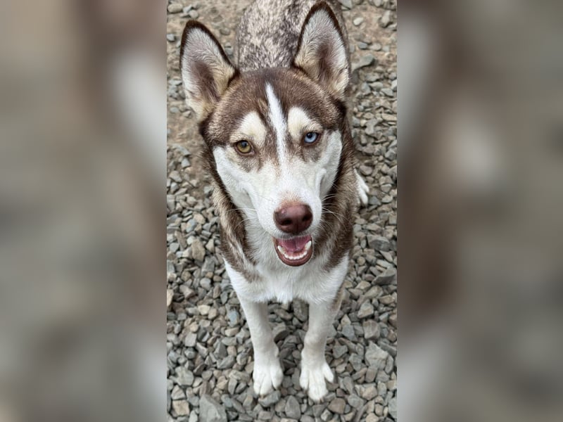 LUNA sucht ihre(n) Menschen...