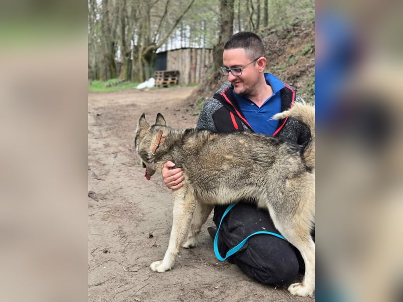 Mylot, geboren 01.01.2025, 55cm sucht Aktivität