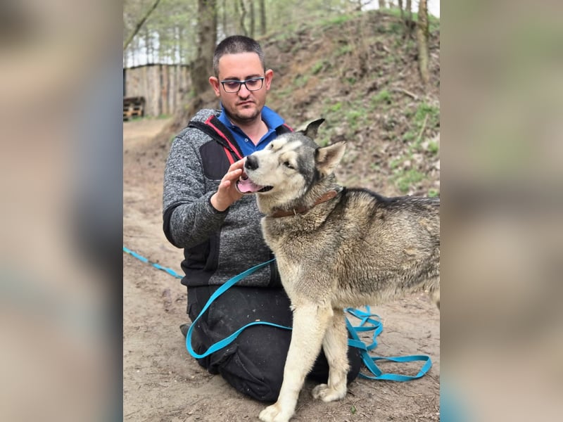 Mylot, geboren 01.01.2025, 55cm sucht Aktivität