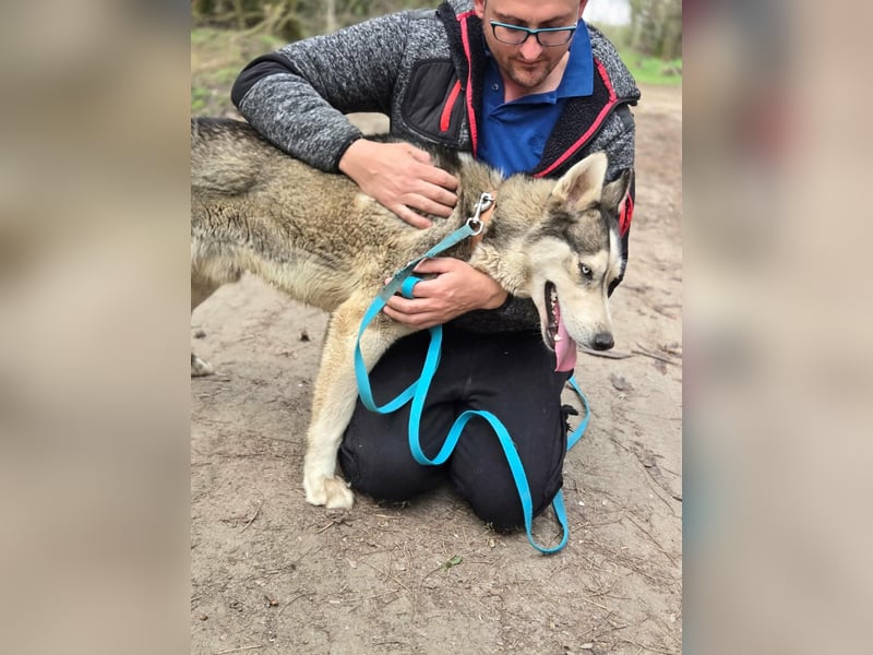 Mylot, geboren 01.01.2025, 55cm sucht Aktivität