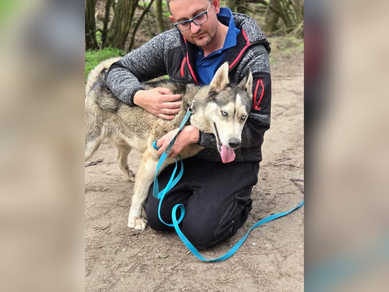 Mylot, geboren 01.01.2025, 55cm sucht Aktivität