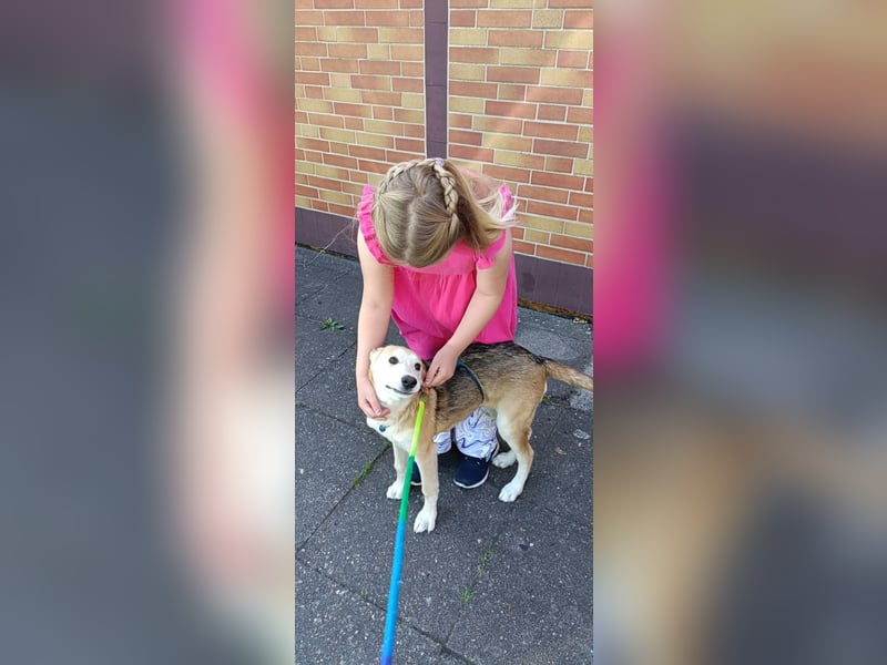 Verschmuster, kinderlieber Nanook sucht liebevolle Familie
