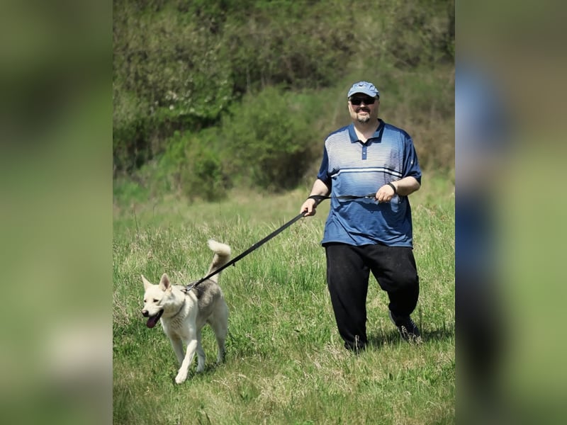 Wunderschöner Husky ähnlicher Rüde, 3J., kastriert, rundum verträglich