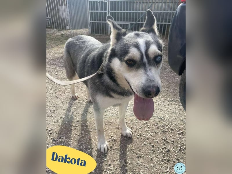 Dakota VA, voller Lebensfreude