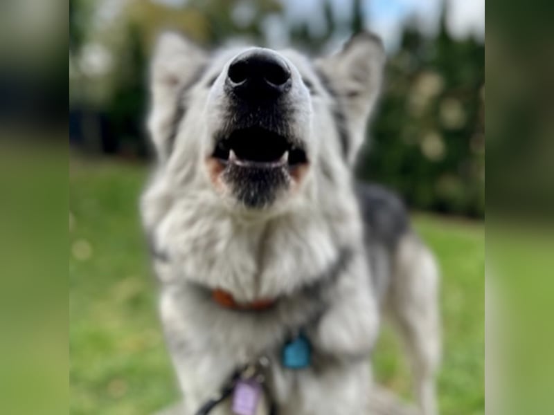 Ruby ein wunderhübsches Mädchen