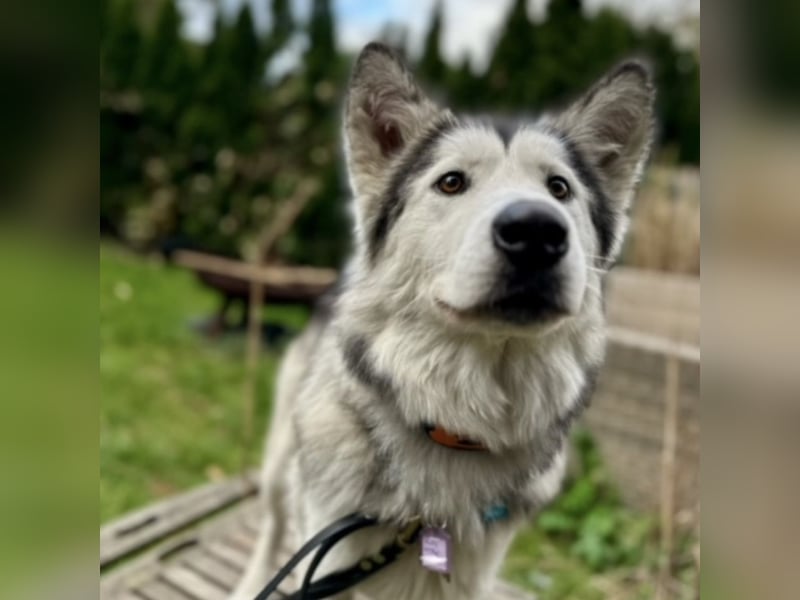 Ruby ein wunderhübsches Mädchen