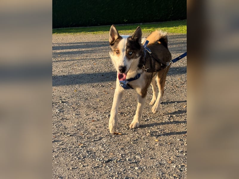 CoolerJonas sucht endlich sein eigenes Zuhause ❤️