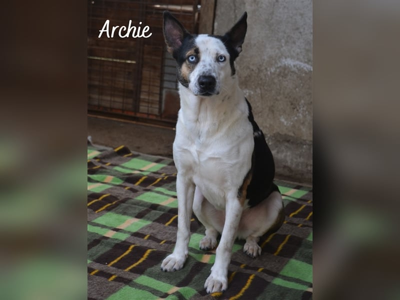 Archie & Brownie