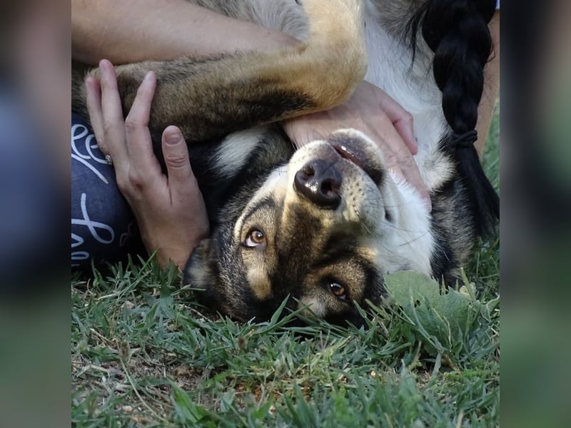 Artur ein Sonnenschein