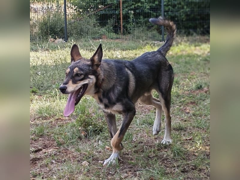 Artur ein Sonnenschein