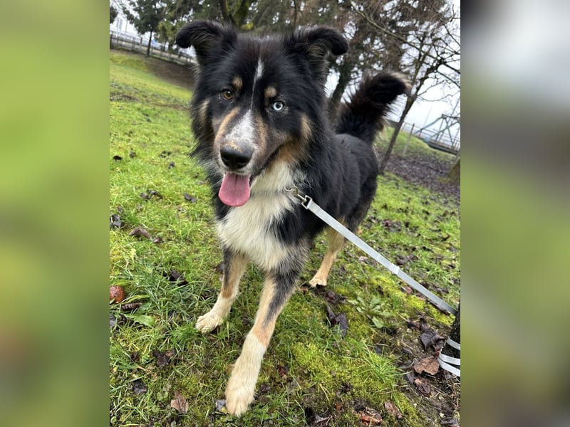 Ljubo ein ganz toller Kerl