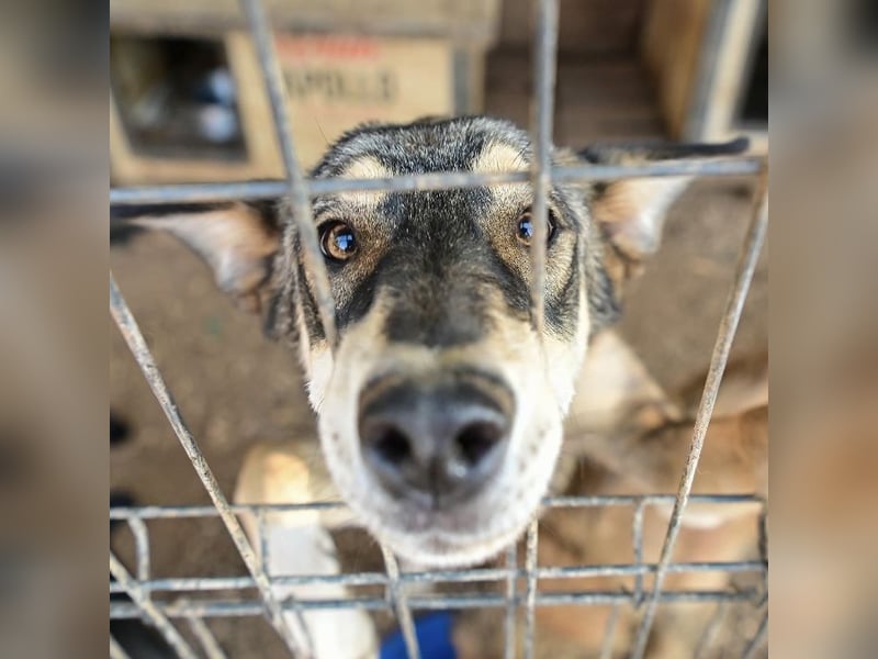 Artur ein Sonnenschein