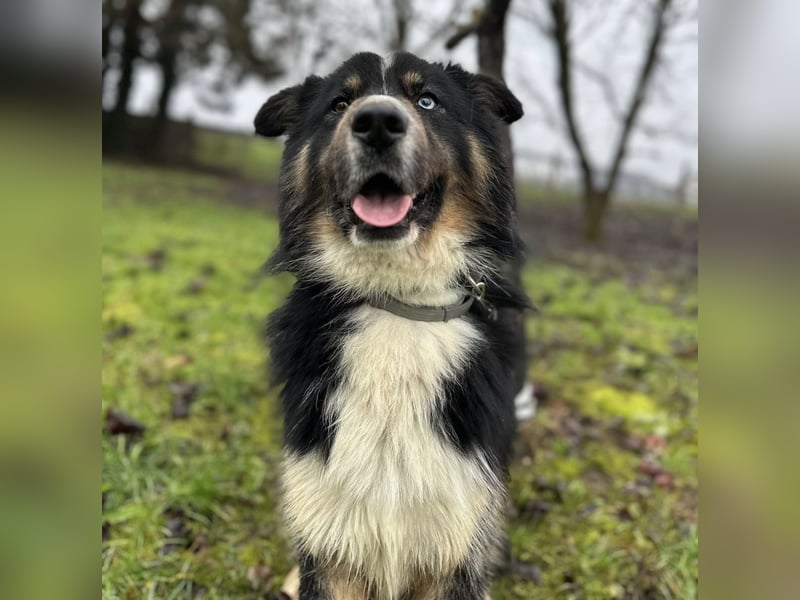 Ljubo ein ganz toller Kerl