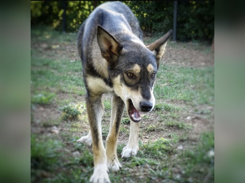 Artur ein Sonnenschein