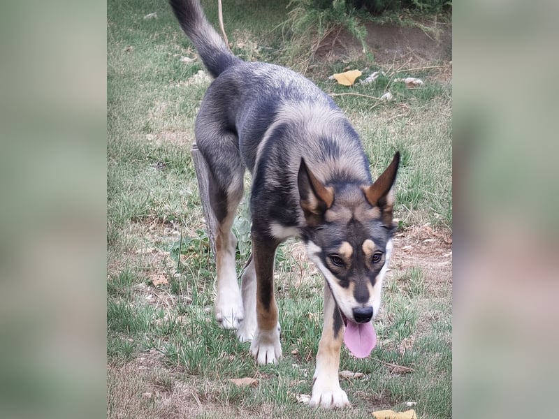 Artur ein Sonnenschein