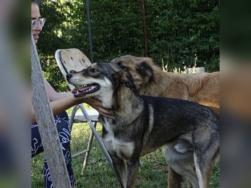 Artur ein Sonnenschein