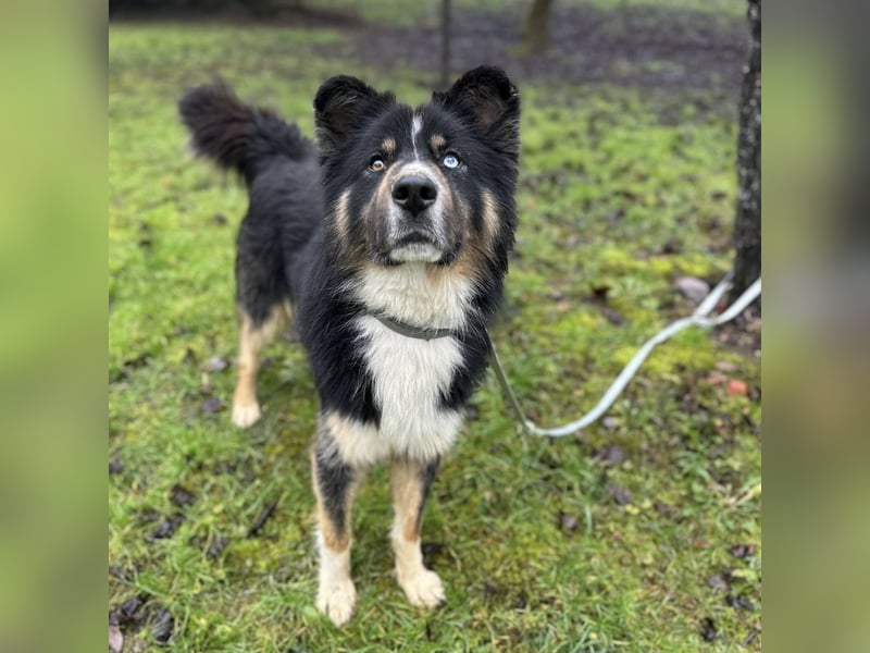 Ljubo ein ganz toller Kerl