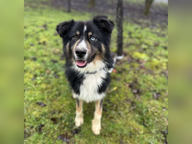 Ljubo ein ganz toller Kerl